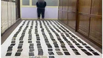 ضبط 11 تاجر مخدرات بـ271 طربة حشيش في 7 محافظات 