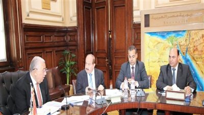 وزير الزراعة يترأس الاجتماع الوزاري لدول تجمع 