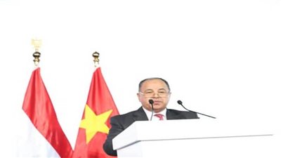 وزير المالية. مصر تفتح أبوابها أمام الاستثمارات الصينية في الصناعات الاستراتيجية (صور) 