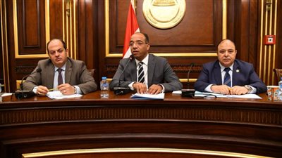 صحة الشيوخ توصي باعتماد البرنامج الوظيفي لمستشفى الخارجة التخصصي بالوادي الجديد