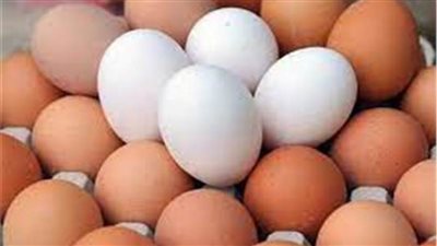 انخفاض أسعار البيض.. اليوم 29 نوفمبر 