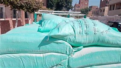 «كمين التموين» يضبط سائق استولى على 9 أطنان دقيق مدعم بالقليوبية 