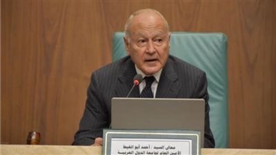 أبو الغيط: ندعو كافة الدول للاعتراف بالدولة الفلسطينية 