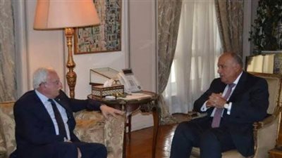 شكري: مصر تشارك العالم الاحتفال بيوم التضامن مع الشعب الفلسطينى