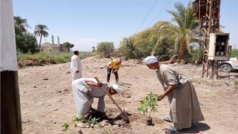 أرشيفية