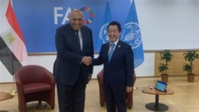 وزير الخارجية يلتقى مدير عام منظمة الأغذية والزراعة للأمم المتحدة فى روما