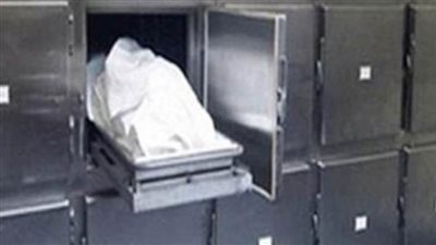 مصرع شقيقين اصطدمت بهما سيارة نقل أثناء عبورهما الطريق الدائرى بقليوب