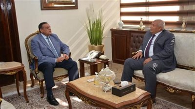 وزير التنمية المحلية يتابع مع محافظ الوادي الجديد الموقف التنفيذي لمشروعات 