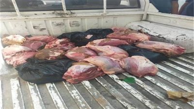 الزراعة: ضبط 40 طن لحوم وأسماك غير صالحة للاستهلاك خلال شهر 