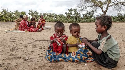 الأمم المتحدة تحذر من وصول عدد الجياع في غرب ووسط إفريقيا إلى أعلى مستوى خلال 2023