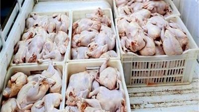 ضبط 8 أطنان لحوم ودواجن فاسدة في حملة أمنية بالقاهرة  