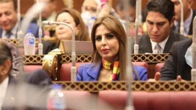 ﻿﻿عضو بمجلس الشيوخ: مقترح تقسيم اليوم الدراسي على 3 فترات حل مؤقت