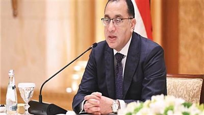 الحكومة تنفي إصدار قرار بحظر دخول بعض واردات السلع إلى مصر 