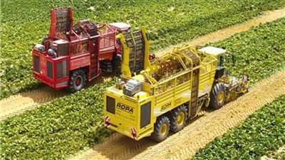 الإحصاء: 1.6 مليون فدان جمالي المساحة المملوكة للحكومة القابلة للزراعة 