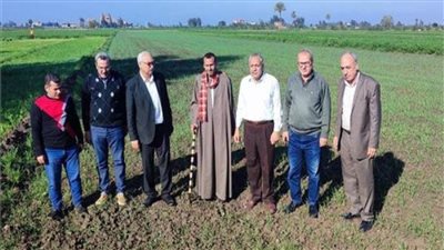  الزراعة: حملات لمتابعة محاصيل القمح والبنجر والبصل في الغربية