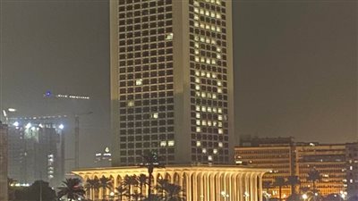 وزارة الخارجية: مصر تحتفل باليوم العالمي للمهاجر