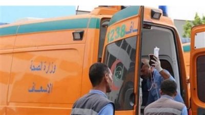 مصرع عاملين وإصابة آخر صدمتهم سيارة في البحيرة
