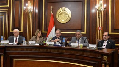 نيفين الكيلاني: يقع على عاتق وزارة الثقافة بناء الإنسان المصري 