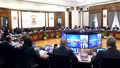  استبعاد 48 نشاطًا.. قرار حكومي عاجل بشأن الموافقة الأمنية لترخيص المحال العامة