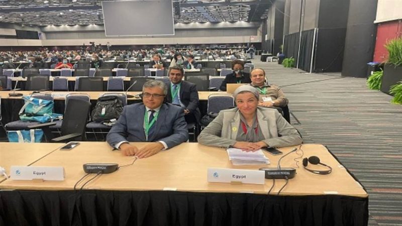 الشورى