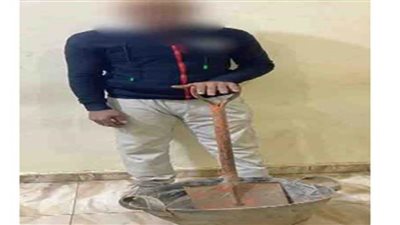 الداخلية: ضبط شخص بأسوان لقيامه بأعمال الحفر للتنقيب عن الآثار 