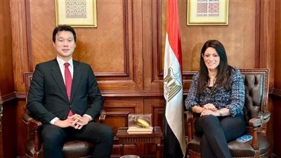 المشاط: شراكة مصر مع كوريا الجنوبية تؤسس لمرحلة جديدة من التعاون 