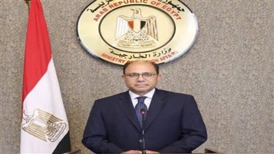 متحدث الخارجية: الإقليم العربي يعيش أزمة كبيرة لها أبعاد سياسية واقتصادية وتنموية وأمنية