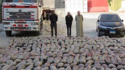 إحباط محاولات لتهريب مخدرات عبر محور قناة السويس