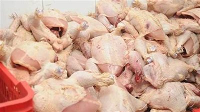 محافظة الجيزة: ضبط 10 أطنان شيش دواجن فاسدة داخل مجزر بأوسيم