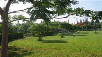 وزيرة البيئة تستعرض تقريرا عن جهود الوزارة بمجال الحماية من الضوضاء وأعمال التشجير في 2022 (صور)