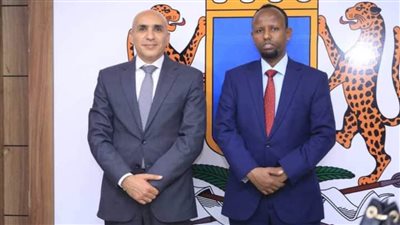 مصر تقدم مساعدات غذائية وطبية إلى الصومال