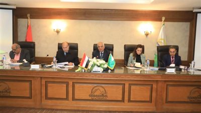 920 منفذا ثابتا ومتحركا لبيع السلع الغذائية بالجيزة 