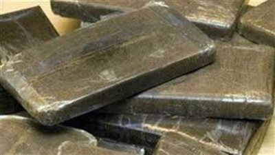 حبس 3 متهمين بحوزتهم 100 طربة حشيش في طنطا