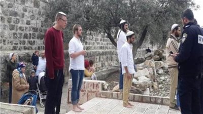 آلاف المستوطنين يقتحمون المقامات الإسلامية شمال سلفيت بالضفة الغربية