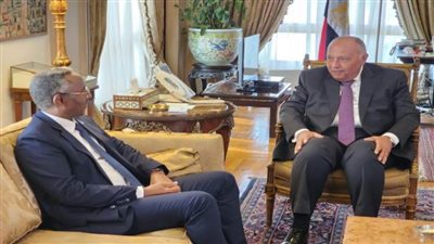 سامح شكري يستقبل وزير الشئون الخارجية والتعاون الدولي الصومالي