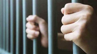 حبس صاحب كافيه تعدى على أعضاء حملة لحماية المستهلك ببني سويف