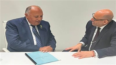 وزير الخارجية يلتقي السكرتير التنفيذي للاتفاقية الإطارية لتغير المناخ بأبو ظبي (صور)