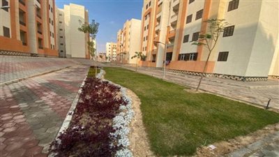 جهاز العبور الجديدة: صيانة المسطحات الخضراء بوحدات 