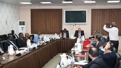 وزير الري يبحث مع نظيره السوداني التعاون في مجال مقاومة الحشائش المائية