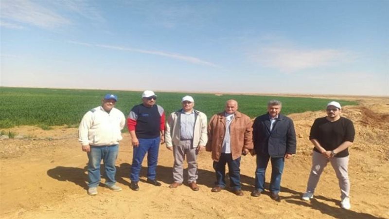 وزير قطاع الأعمال