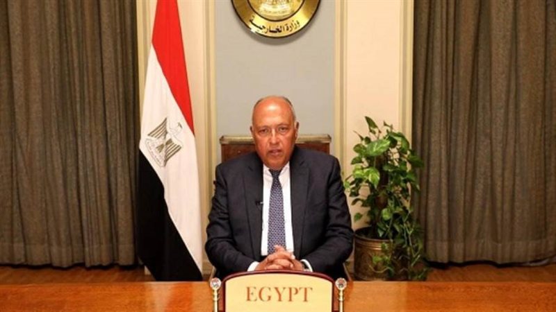 سامح شكري وزير الخارجية