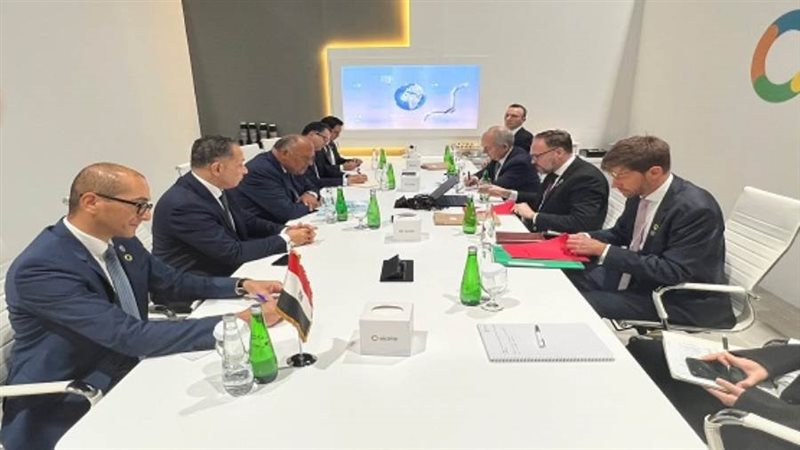 وزير الخارجية يستقبل