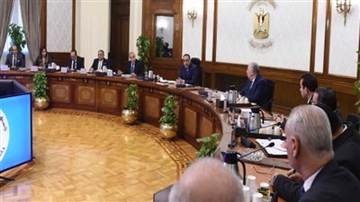 رئيس الوزراء يعقد اجتماعا لبحث التوسع في إنتاج الزيت الخام محليا (صور)