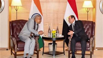 السيسي يستقبل رئيس مجلس إدارة شركة رينيو باور