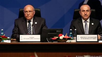 شكري لـ أوغلو: مصر قررت توجيه مساعدات إغاثية عاجلة تضامنا مع تركيا