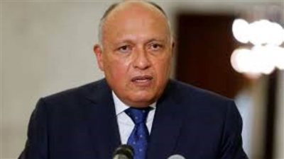 وزير الخارجية:القطاع الخاص يلعب دورا مهما في دفع عجلة التعاون بين مصر وأفريقيا