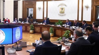 نقل أسهم النصر للتصدير والاستيراد من قطاع الأعمال إلى وزارة التجارة