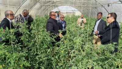 جامعة الملك سلمان الدولية تستضيف اجتماعات الجمعية العمومية لكليات الزراعة العربية (صور)