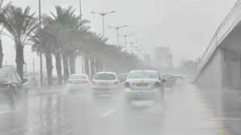 الشورى