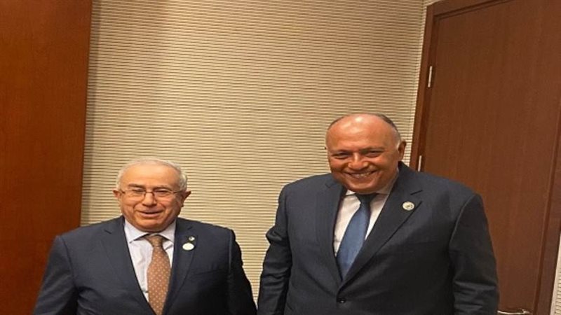 الشورى